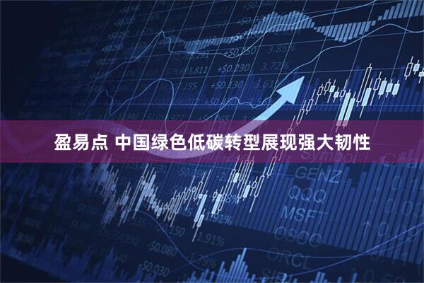 盈易点 中国绿色低碳转型展现强大韧性