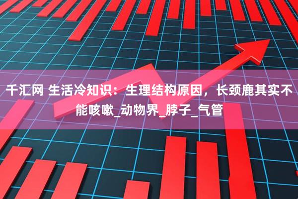 千汇网 生活冷知识:生理结构原因,长颈鹿其实不能咳嗽_动物界_脖子_气管