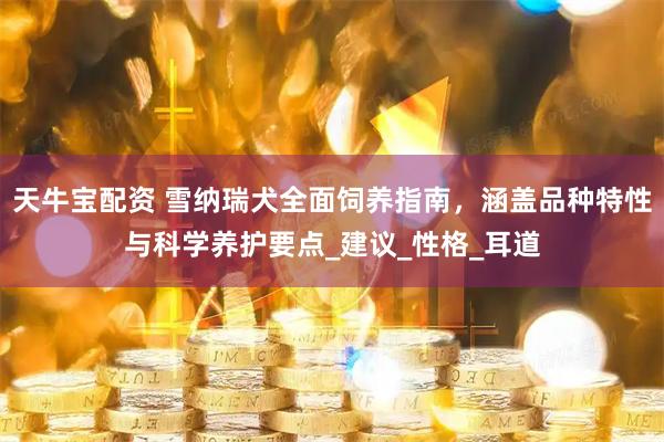 天牛宝配资 雪纳瑞犬全面饲养指南，涵盖品种特性与科学养护要点_建议_性格_耳道