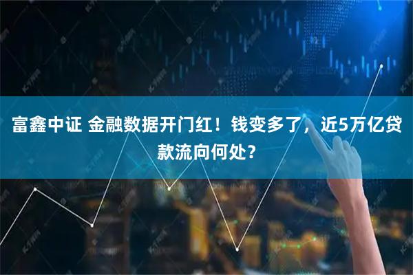 富鑫中证 金融数据开门红！钱变多了，近5万亿贷款流向何处？