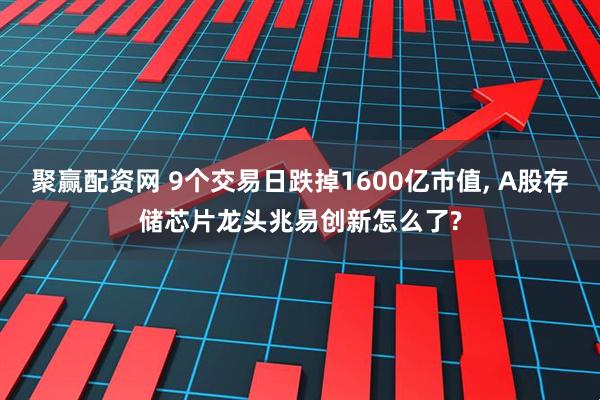 聚赢配资网 9个交易日跌掉1600亿市值, A股存储芯片龙头兆易创新怎么了?