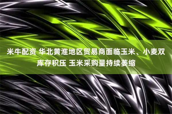 米牛配资 华北黄淮地区贸易商面临玉米、小麦双库存积压 玉米采购量持续萎缩